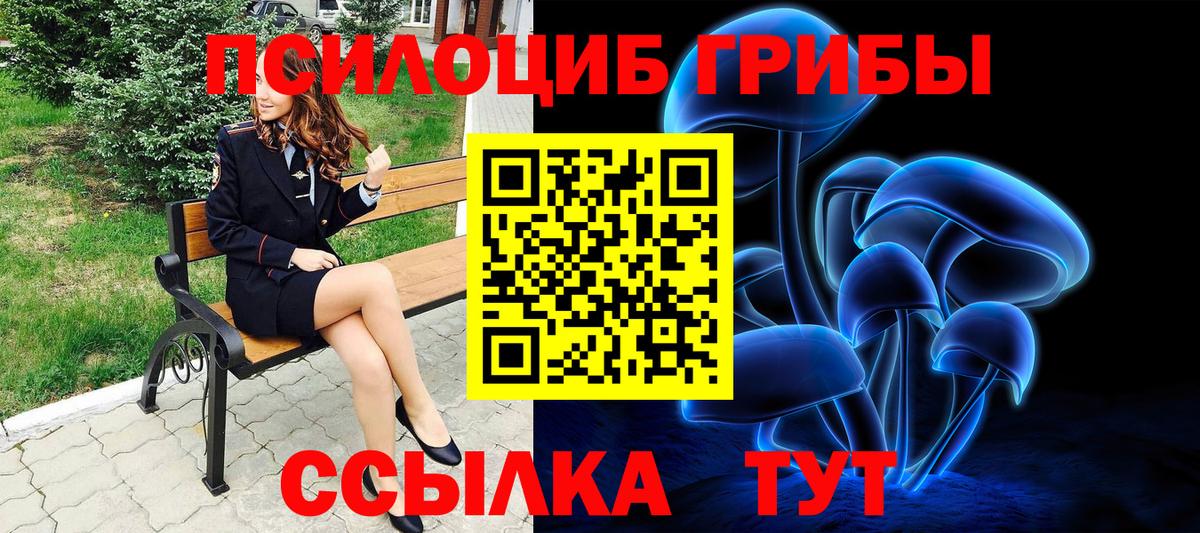 Псилоцибиновые грибы Psilocybe Люберцы