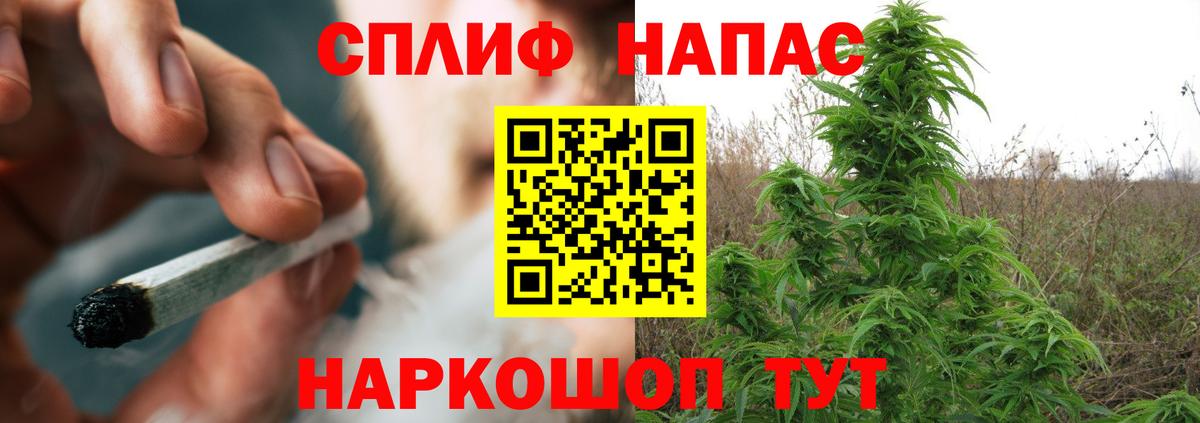 Канабис тримм  Канабис планчик  Конопля VHQ  Люберцы  Канабис Ganja  Вход с VPN 